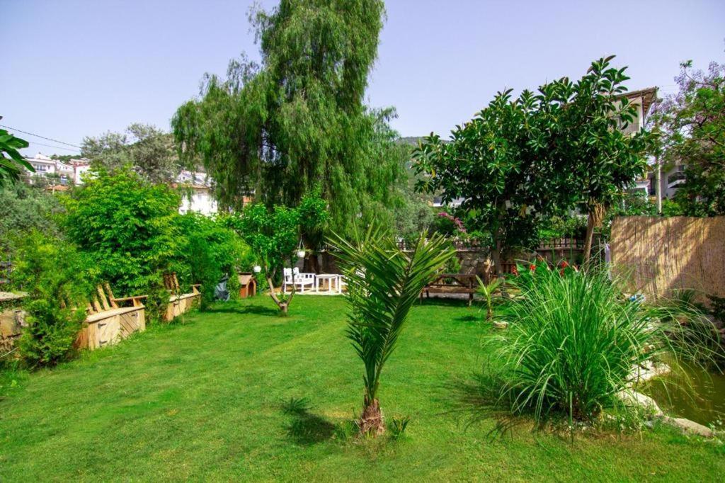 Bed and Breakfast Kampus Garden à Fethiye Extérieur photo